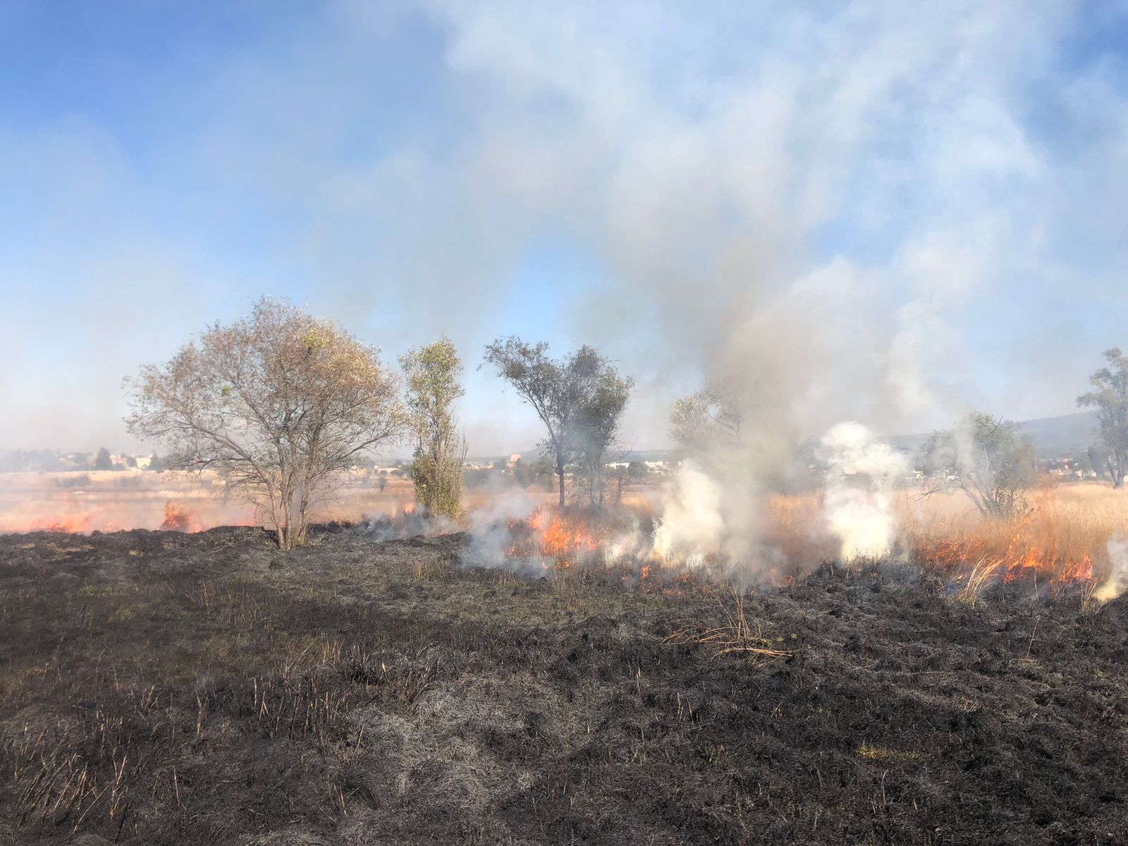 Protección Civil del Ayuntamiento de Tlaxcala atiende incendios de pastizales en Tlaxcala